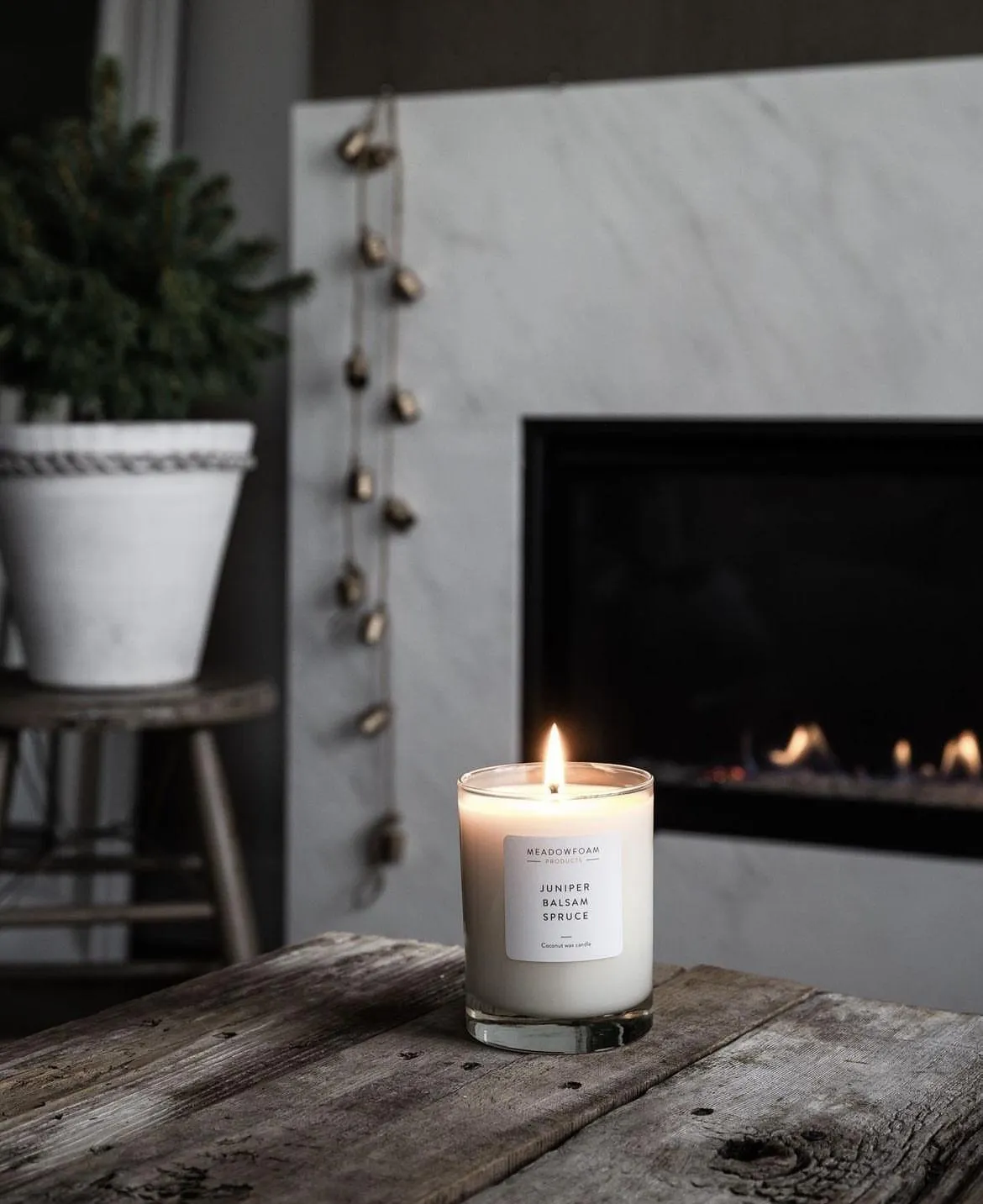 Juniper Balsam Spruce Cocktail Candle